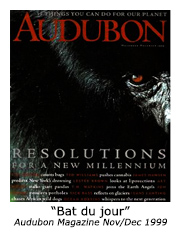 audubon 99
