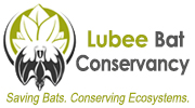 lubee bat conservancy
